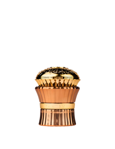 Creamy Biscuit - Paris Corner