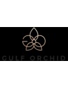 Parfum Gulf Orchid